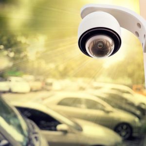 security camera plantation